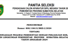 Pemprov Sumsel Buka 5.953 Formasi PPPK 2024