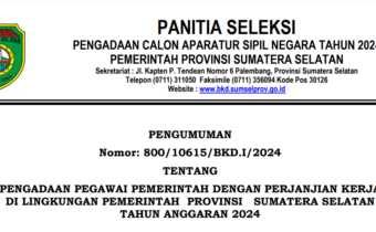 Pemprov Sumsel Buka 5.953 Formasi PPPK 2024