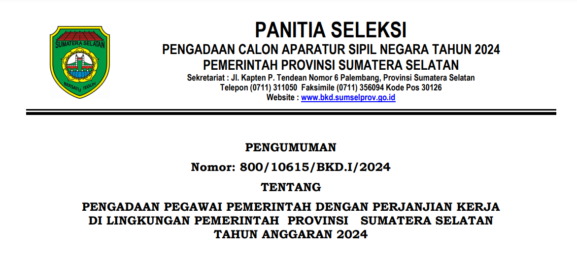 Pemprov Sumsel Buka 5.953 Formasi PPPK 2024