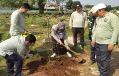 15 Pohon Pelindung Ditanam di Jakarta Timur, Perbanyak Ruang Terbuka Hijau