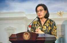 17 Golongan PPPK 2024 yang Akan Menerima Gaji dari Sri Mulyani