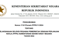 Kemensetneg Buka Seleksi PPPK 2024 Gelombang 2