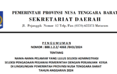 Pengumuman Hasil Seleksi Administrasi PPPK 2024 Kota Mataram