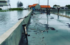 10 Wilayah Berpotensi Terdampak Banjir Rob di Jakarta Utara, Mulai 14 hingga 21 November 2024