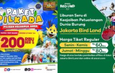 Daftar Promo Pilkada 2024 Tempat Wisata Berbagai Wilayah Indonesia