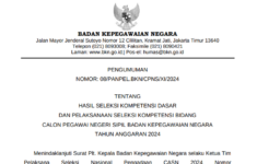 Cara Cek Hasil Pengumuman SKD CPNS BKN 2024