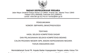 Cara Cek Hasil Pengumuman SKD CPNS BKN 2024