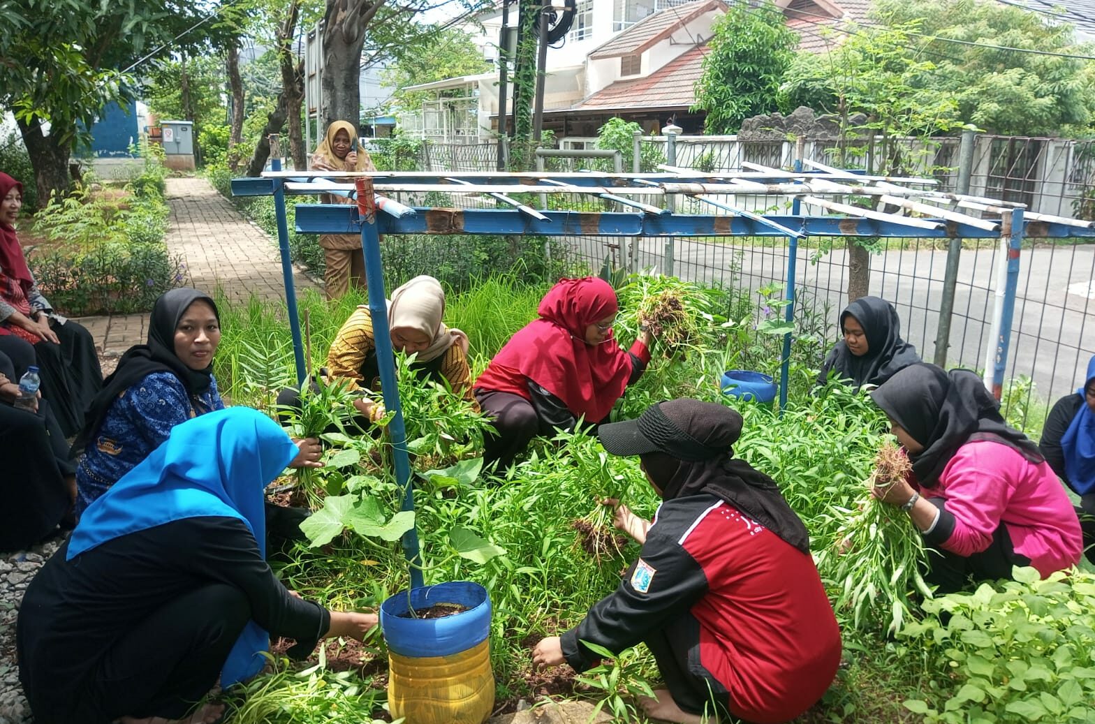 TP PKK dan Jajaran Kelurahan Rawa Buaya Panen Ikan Lele dan Sayuran di RPTRA Carina Sayang