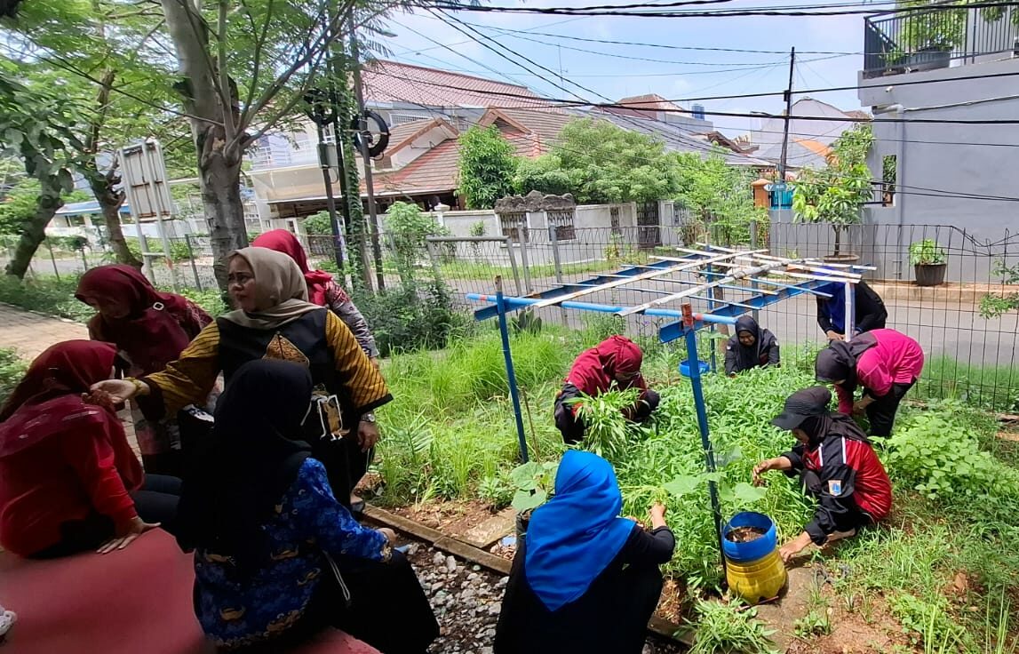 Suasana Panen Ikan Lele dan Sayuran di RPTRA Carina Sayang Kelurahan Rawa Buaya