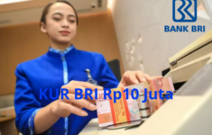 KUR BRI Rp10 Juta 2024