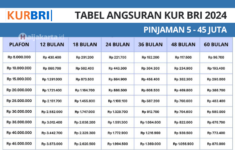 Info Pinjaman KUR BRI 2024 Plafon Rp5-45 Juta