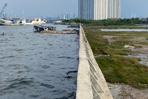 Waspada! Diprediksi Banjir Rob Jakarta Utara Kembali, Air Laut Pasang pada Fenomena Supermoon