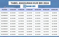 Tabel Pinjaman KUR BRI 2024