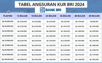 Tabel Pinjaman KUR BRI 2024