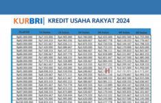 Pinjaman KUR BRI Untuk PNS 2024