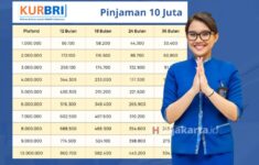 Pinjaman KUR BRI 2024