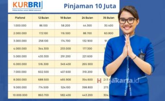 Pinjaman KUR BRI 2024