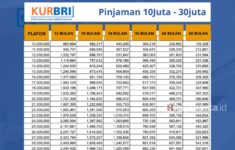 Tabel Pinjaman KUR BRI 2024