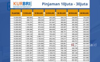 Tabel Pinjaman KUR BRI 2024