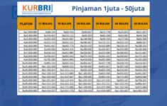 Pinjaman KUR BRI 2024 Rp50 Juta