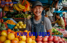 Pinjaman KUR BRI 2025 Kapan Dibuka