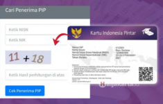 Cara Cek PIP Kemdigbud Lewat HP Online