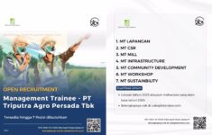 Lowongan Internship PT Triputra Agro Persada Tbk Buka Kesempatan Karir di Industri Pertanian