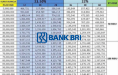 Tabel Non KUR BRI 2025