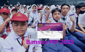 Cara Cek PIP 2025 Lewat HP