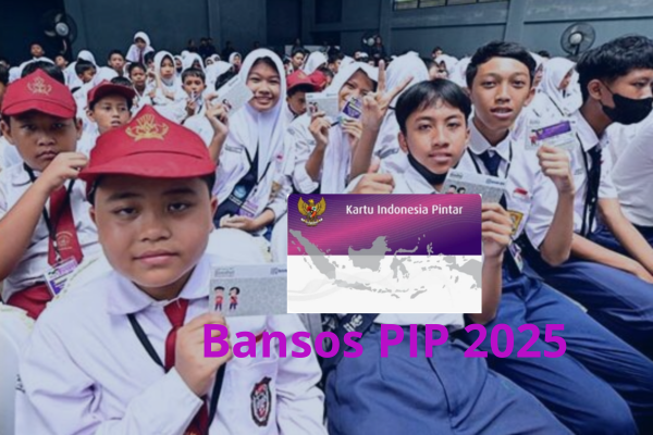 Cara Cek PIP 2025 Lewat HP