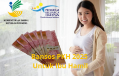 Bansos NIK KTP PKH 2025 Untuk Ibu Hamil