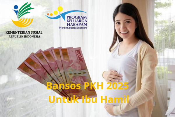 Bansos NIK KTP PKH 2025 Untuk Ibu Hamil