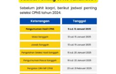 Jadwal Penting Seleksi CPNS 2024 Terbaru