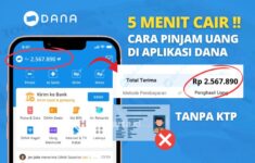 Cara Pinjam Uang di DANA Langsung Cair Tanpa KTP