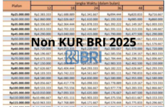 Pinjaman Non KUR BRI 2025