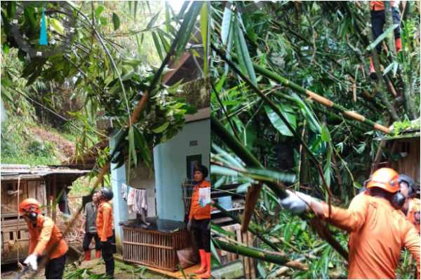 Tanah Longsor di Megamendung Bogor, 2 Rumah Warga Rusak Tertimpa Pohon Bambu