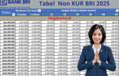 Tabel Angsuran Non KUR BRI 2025