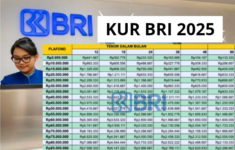 Tabel Pinjaman KUR BRI 2025