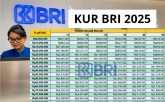 Tabel Pinjaman KUR BRI 2025