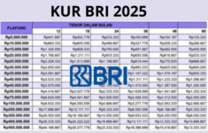 Pinjaman KUR BRI 2025 Online