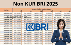 Tabel Pinjaman BRI 2025 Non KUR