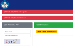 Cara Daftar PIP Online 2025 Lewat HP