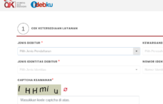 Cek BI Checking Online Lewat HP