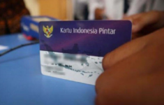 Cek PIP Online 2025