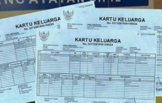 Cara Cek Kartu Keluarga Online