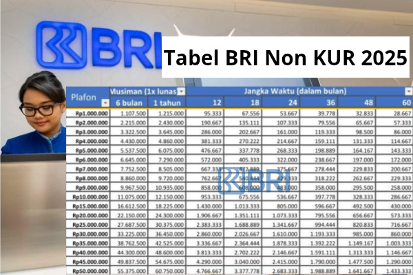 Tabel Pinjaman BRI 2025 Non KUR