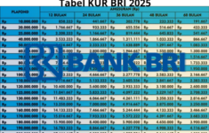 Tabel Pinjaman KUR BRI 2025