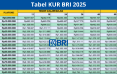 Tabel Angsuran KUR BRI 2025 Plafon 50 Juta