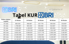 Tabel KUR BRI 2025