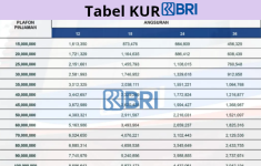 Pinjaman KUR BRI 2025